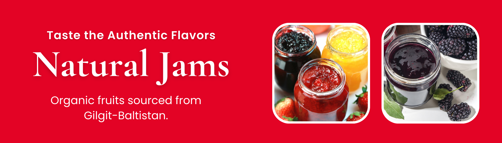 NorthAura-Natural-Jams-Banner-Image